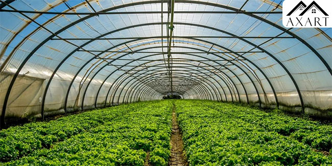 ایجاد فضای کاری مطلوب برای کشاورز