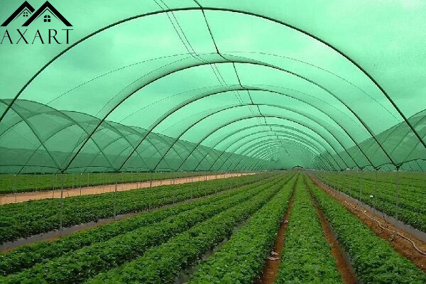 افزایش استحکام سایبان با گیره شید